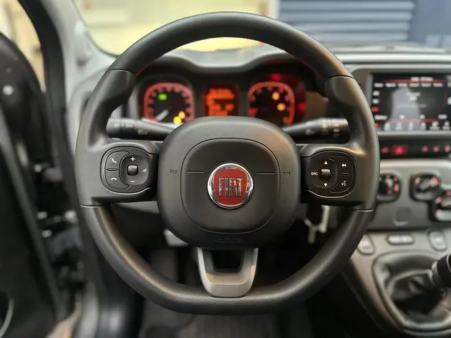 Fiat Panda 1.0 Hybrid City Life 2022 Benzine 25