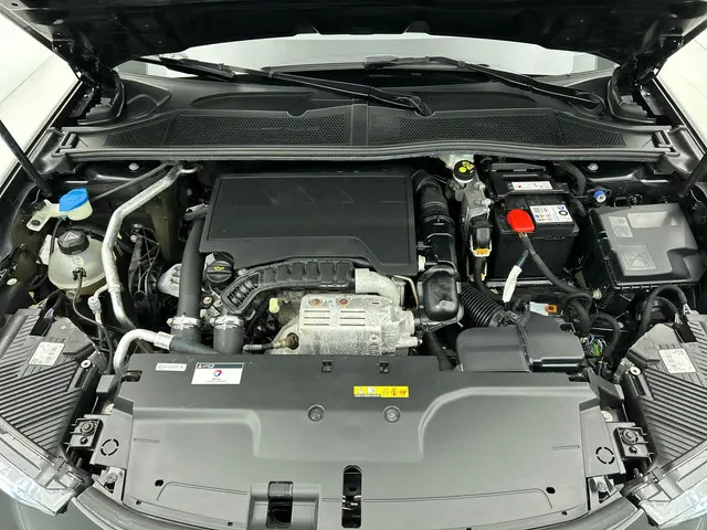 DS DS 4 1.2 Performance Line+ 2023 Benzine 33