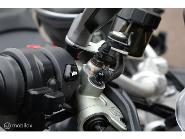 Ducati Multistrada V4 S 2021 Benzine 35
