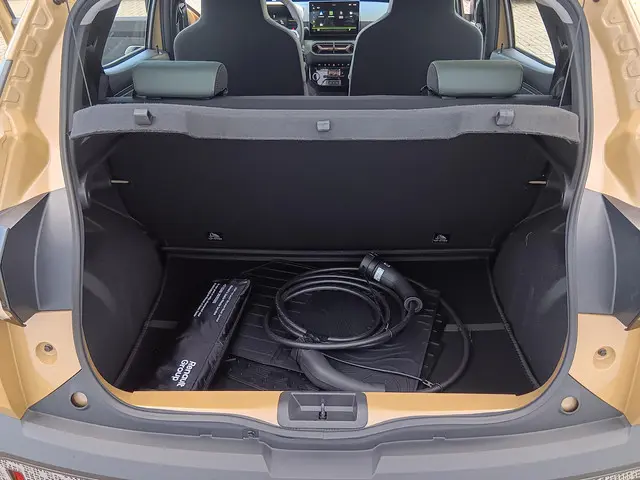 Dacia Spring Extreme 65 26.8 kWh 2024 Elektrisch 6