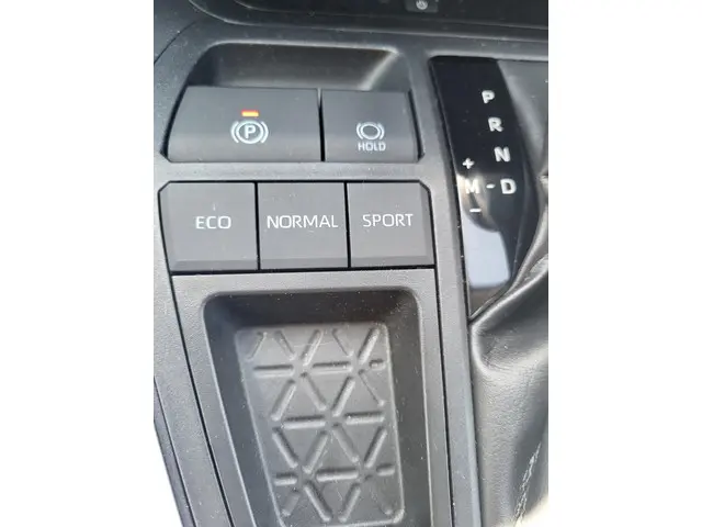 Toyota RAV4 2.0 VVT-iE Executive 2019 Benzine 31