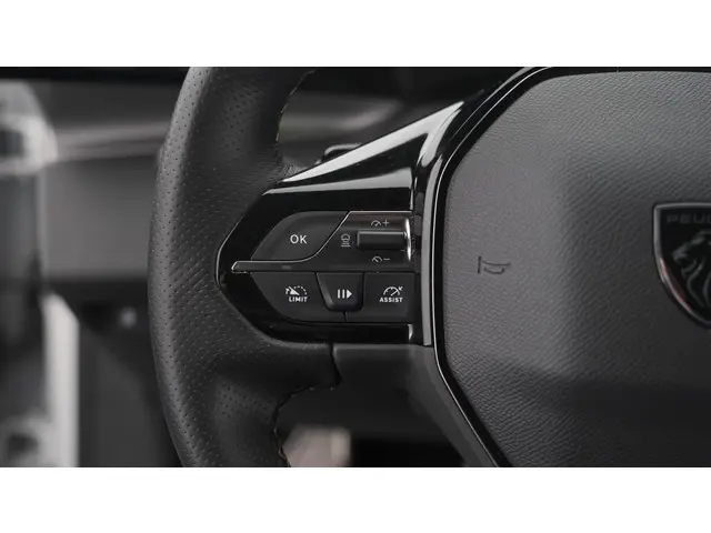 Peugeot 308 PureTech 130 GT Pack Business 2022 Benzine 37