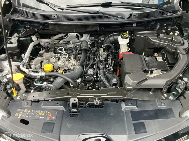 Renault Kadjar 1.3 TCe Intens 2020 Benzine 14