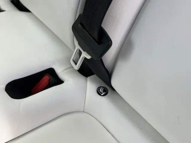 Tesla Model Y Performance AWD 75 kWh 2023 Elektrisch 21