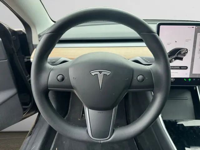 Tesla Model 3 Long Range AWD 75 kWh 2019 Elektrisch 15