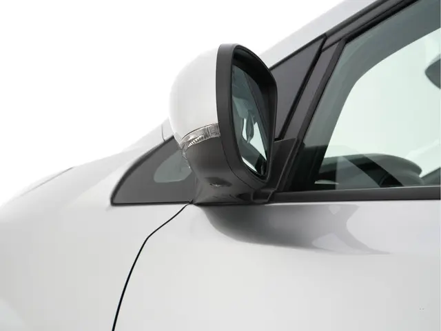Nissan Leaf N-Connecta 40 kWh 2020 Elektrisch 25