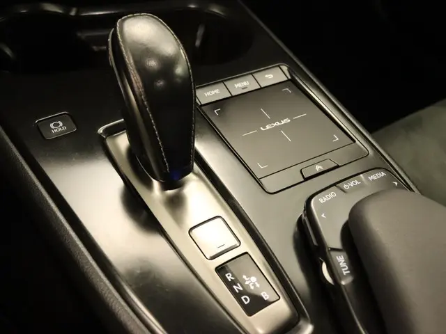 Lexus UX 300e Business 54 kWh 2020 Elektrisch 24