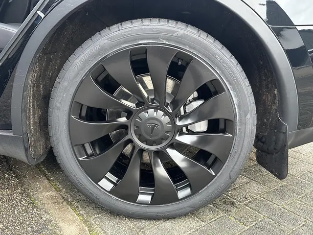 Tesla Model Y Long Range AWD 75 kWh 2023 Elektrisch 12