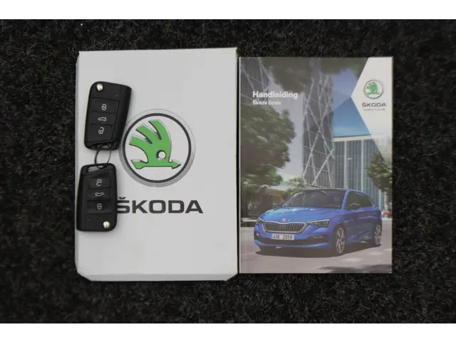 Škoda Scala 1.0 TSI DSG Sport Business 2023 Benzine 51