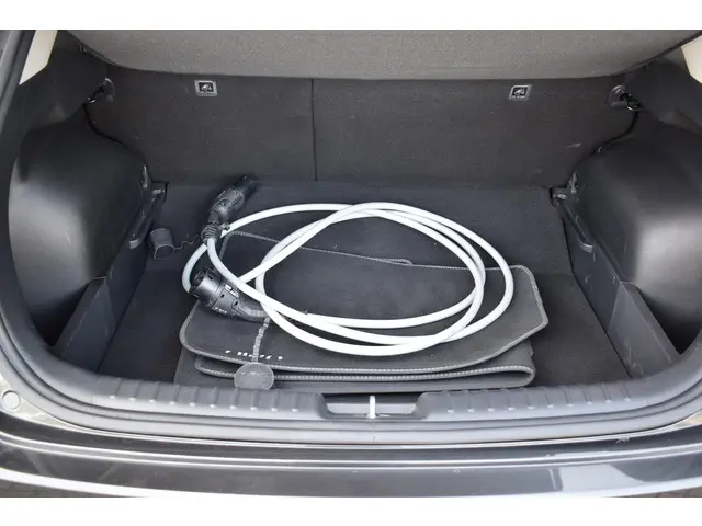 Kia Niro EV Edition Advanced 64.8 kWh 2024 Elektrisch 23