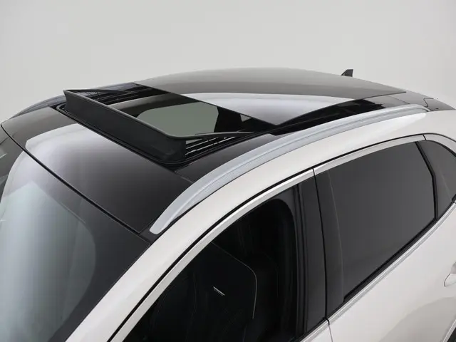 Ford Kuga 2.5 PHEV 225PK Vignale 2022 Hybride Benzine 14
