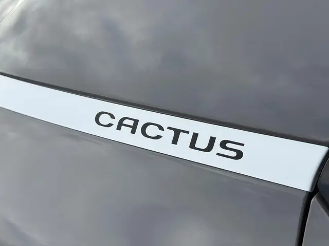 Citroën C4 Cactus 1.2 PureTech Business 2016 Benzine 29