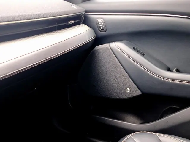 Ford Mustang Mach-E RWD 75 kWh 2021 Elektrisch 19