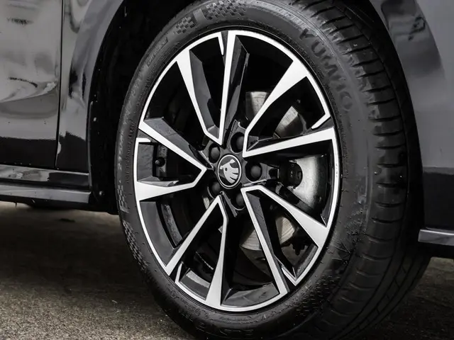 Škoda Fabia 1.0 TSI 115pk DSG Monte Carlo 2025 Benzine 22