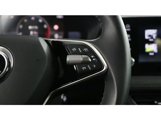 Škoda Fabia 1.0 TSI 115pk Selection DSG 2024 Benzine 18