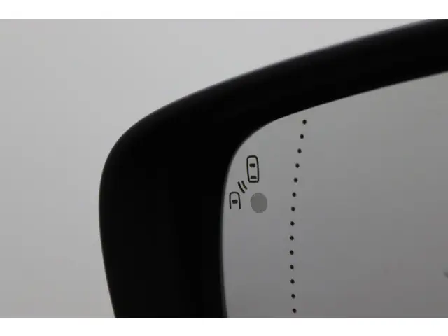 Renault Kadjar 1.2 TCe Extase Automaat 2016 Benzine 30