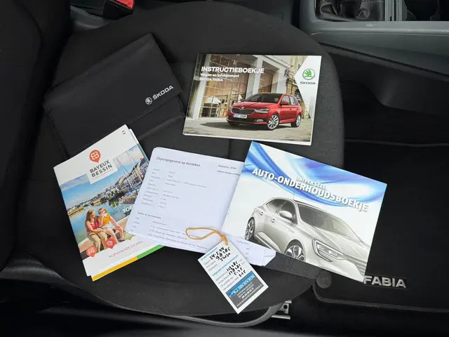 Škoda Fabia Combi 1.0 Active - Airco - Cruise 2019 Benzine 13