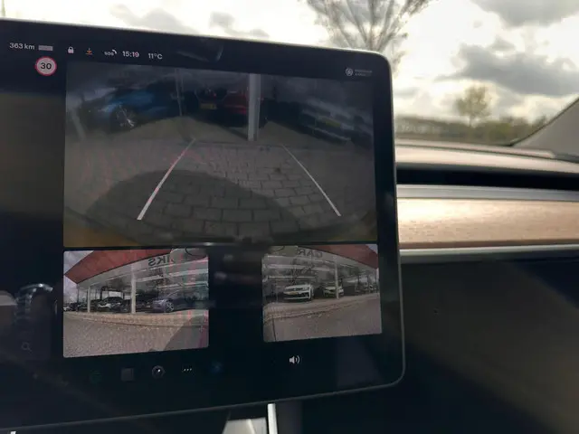 Tesla Model 3 Standard RWD Plus 60 kWh 2020 Elektrisch 21