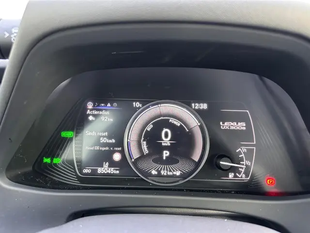 Lexus UX 300e Business 54 kWh 2020 Elektrisch 18