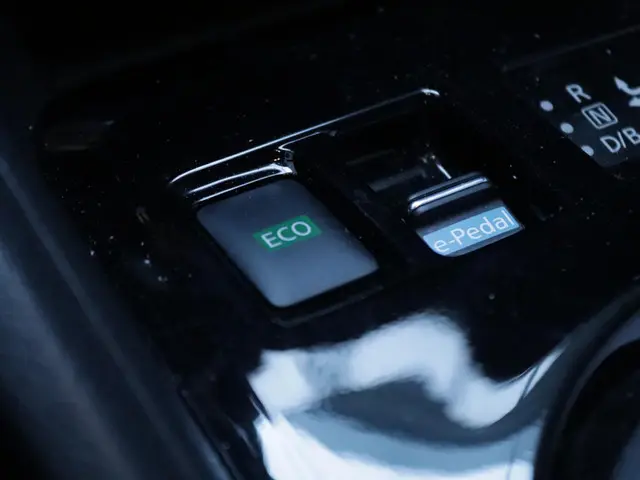 Nissan Leaf e+ Tekna 62 kWh 2022 Elektrisch 25
