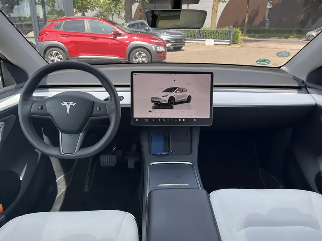 Tesla Model Y RWD 58 kWh 2022 Elektrisch 9