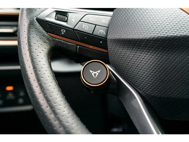 CUPRA Formentor 2.0 TSI 4DRIVE Beats Camera 2021 Benzine 32
