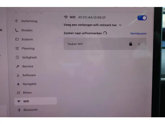 Tesla Model 3 Long Range AWD 75 kWh 2021 Elektrisch 42