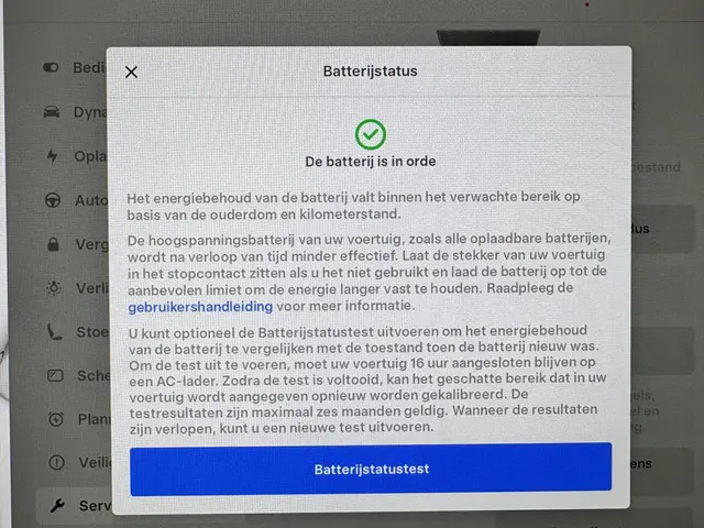 Tesla Model 3 Performance AWD 75 kWh 2019 Elektrisch 15