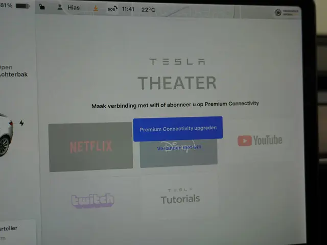 Tesla Model 3 Standard RWD Plus 60 kWh 2021 Elektrisch 41