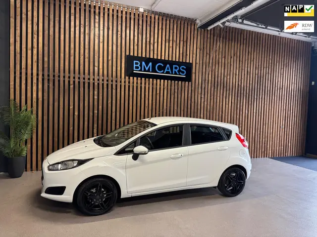 Ford Fiesta 1.0 Style 5 Deurs, Airco, Nap KM 2013 Benzine