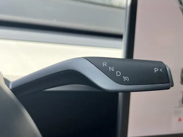 Tesla Model Y RWD 58 kWh 2022 Elektrisch 23
