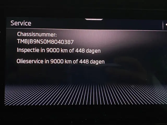 Škoda Kodiaq 1.5 TSI Business Edition 2021 Benzine 31