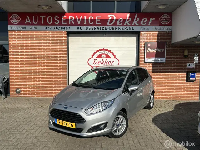 Ford Fiesta 1.0 EcoBoost Titanium 2014 Benzine