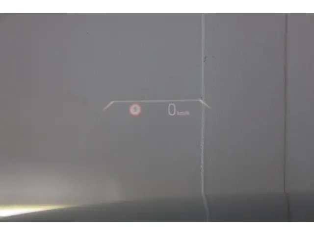 BMW X2 sDrive20i 2025 Benzine 13