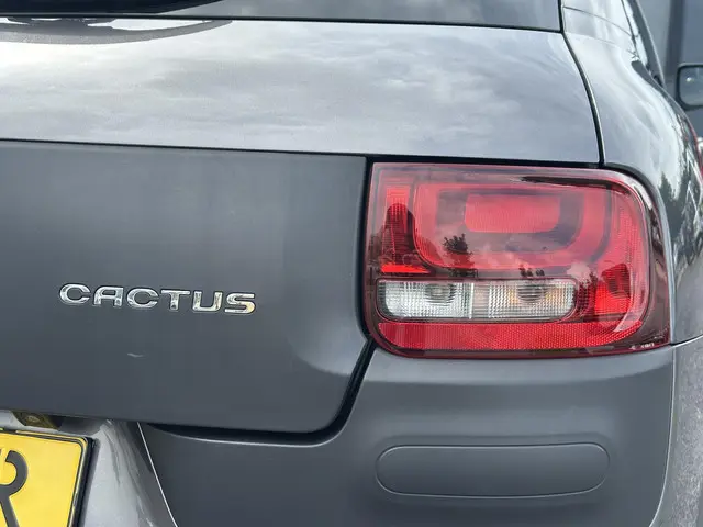 Citroën C4 Cactus 1.2 PureTech Shine 2017 Benzine 31