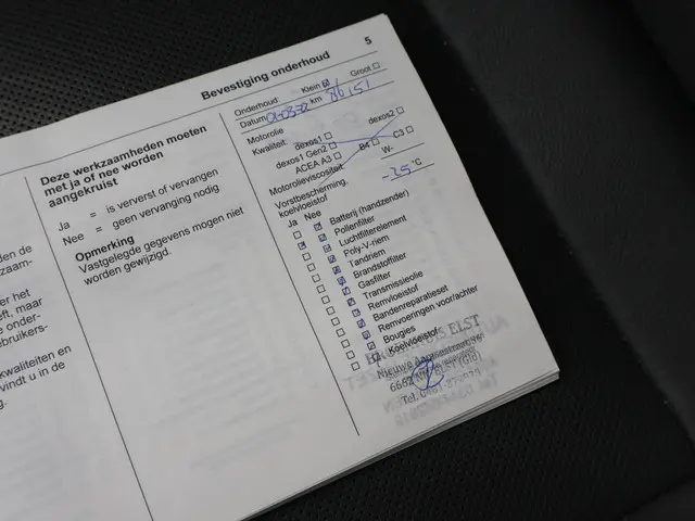 Opel Ampera-e LAUNCH EXECUTIVE 60 KWH 2018 Elektrisch 49