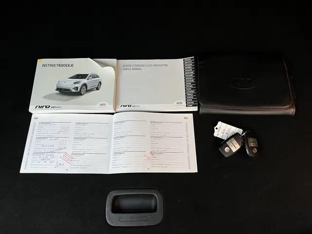 Kia e-Niro ExecutiveLine 64 kWh 2020 Elektrisch 16