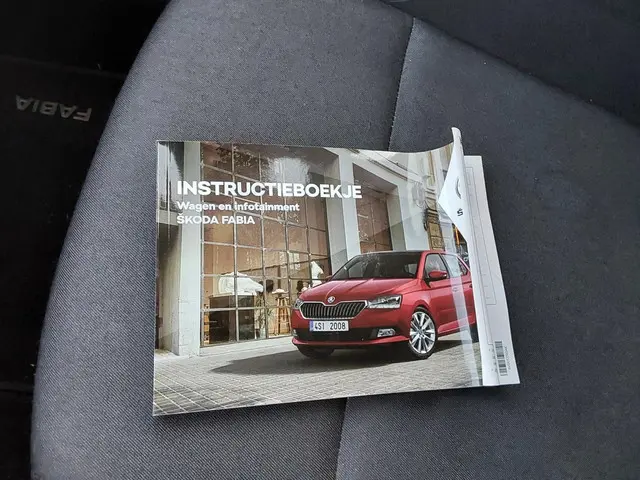 Škoda Fabia 1.0 Active 2019 Benzine 14