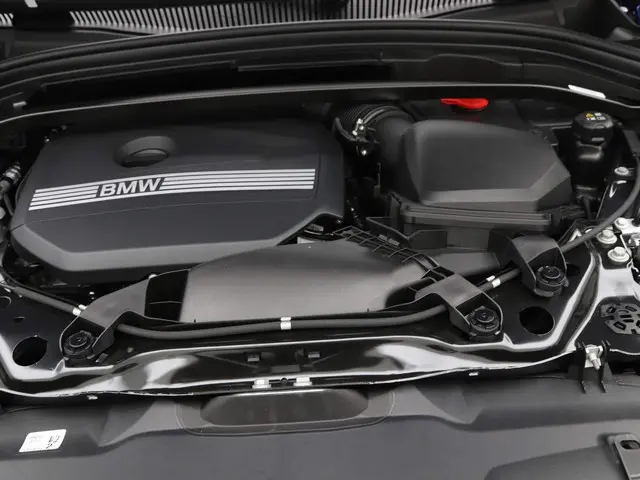 BMW X2 sDrive20i Launch Edition 2024 Benzine 4