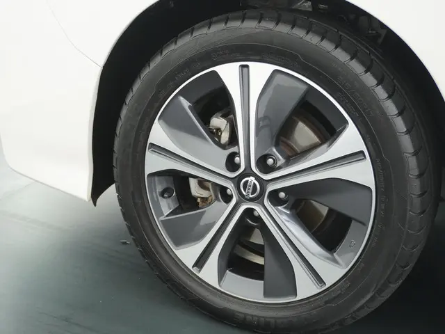 Nissan Leaf Tekna 40 kWh 2019 Elektrisch 14