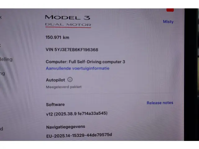 Tesla Model 3 Performance AWD 75 kWh 2019 Elektrisch 41