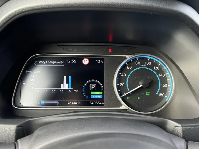 Nissan Leaf Acenta 40 kWh 2021 Elektrisch 20