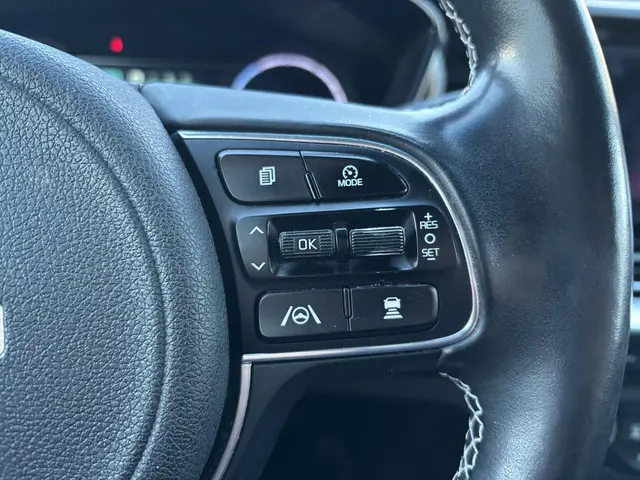 Kia e-Niro Edition 64 kWh 2021 Elektrisch 24