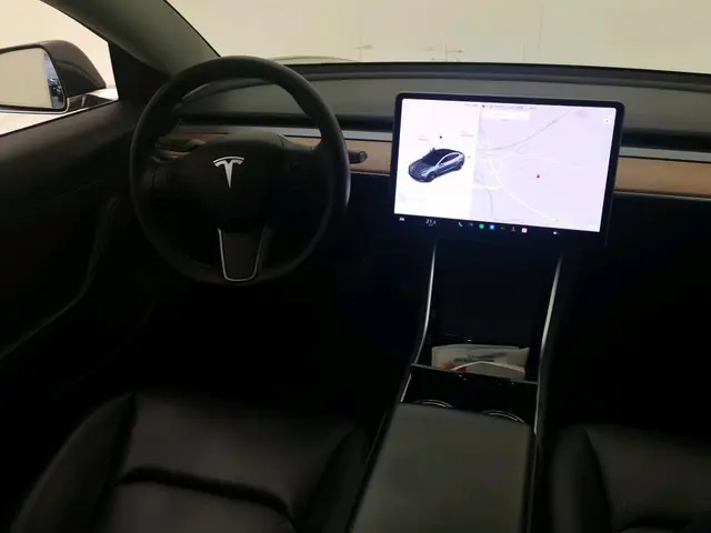 Tesla Model 3 Standard RWD Plus 60 kWh 2020 Elektrisch 14