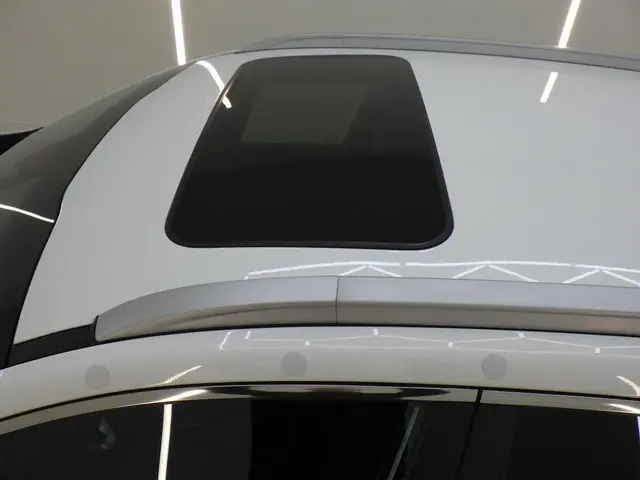 Kia e-Niro EXECUTIVELINE 64 KWH 2021 Elektrisch 5