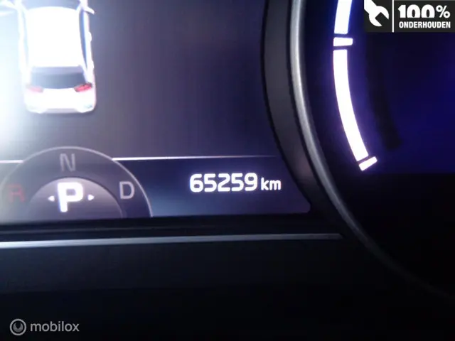 Kia e-Niro ExecutiveLine 64 kWh 2020 Elektrisch 14