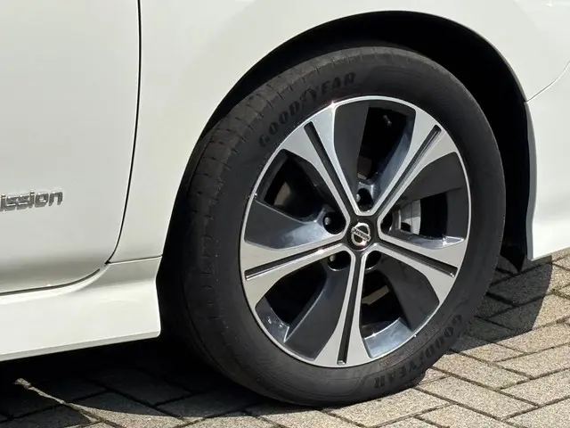 Nissan Leaf Tekna 40 kWh 2020 Elektrisch 33