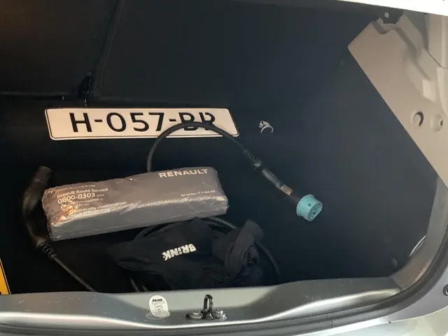 Renault ZOE R110 Limited 41 kWh (ex Accu) 2019 Elektrisch 9