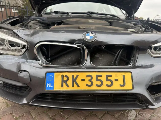 BMW 1 Serie 118i Executive 2017 Benzine 16