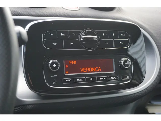 Smart Forfour 1.0 Passion 2016 Benzine 13